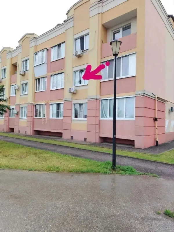 В Самаре подростки и прохожие освободили кошку, застрявшую в приоткрытом окне многоэтажки. Животное передано владельцам, ветеринары напоминают о пользе защитных сеток.