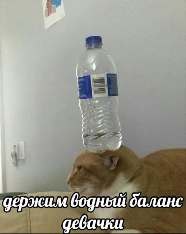 В Самаре в местах массового скопления людей разместят точки с питьевой водой — мера принята из‑за аномально высокой температуры.