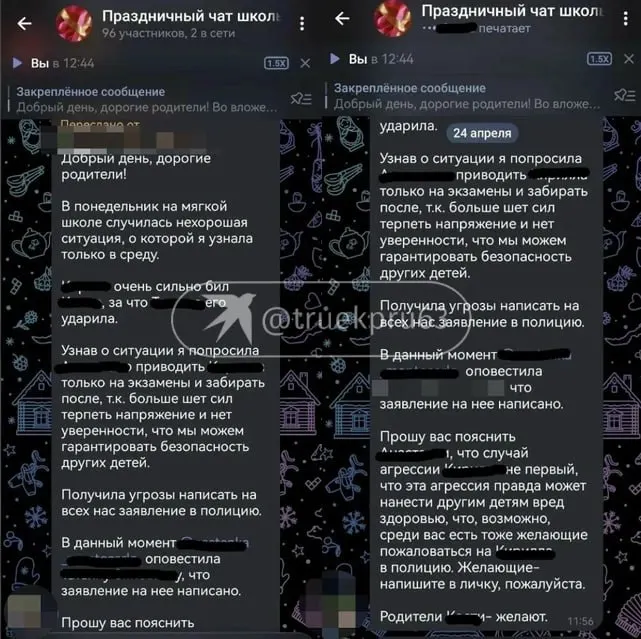 В частной школе мальчик попал в больницу с подозрением на сотрясение: педагог признала, что «сорвалась», а позже ребёнка отчислили. У школы обнаружили отсутствие лицензии, ранее поступали жалобы на персонал.