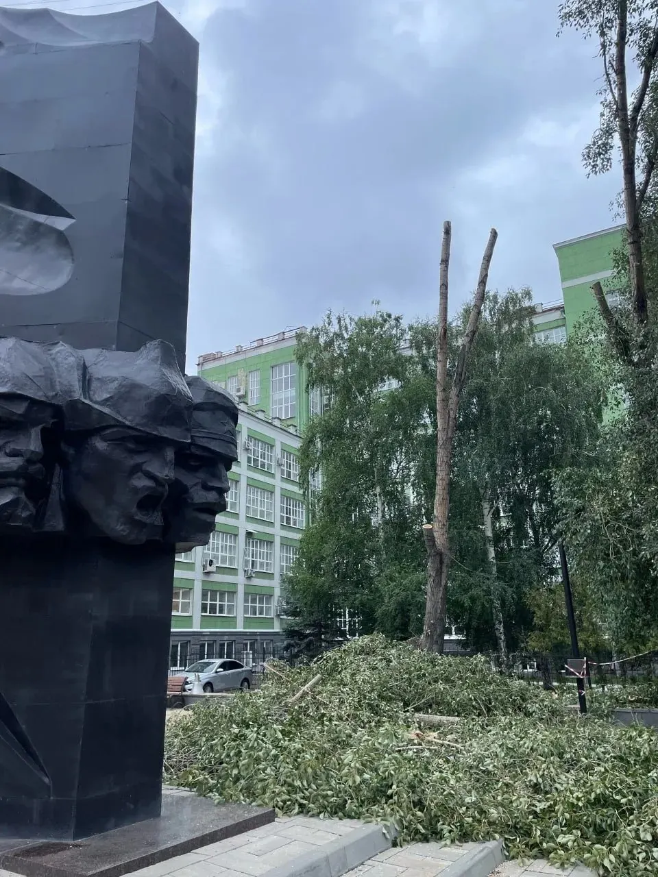 Возле перекрёстка Красноармейской и Чапаевской заметили сруб одного дерева и кронирование других. В администрации заявили, что работы были выполнены по правилам благоустройства.