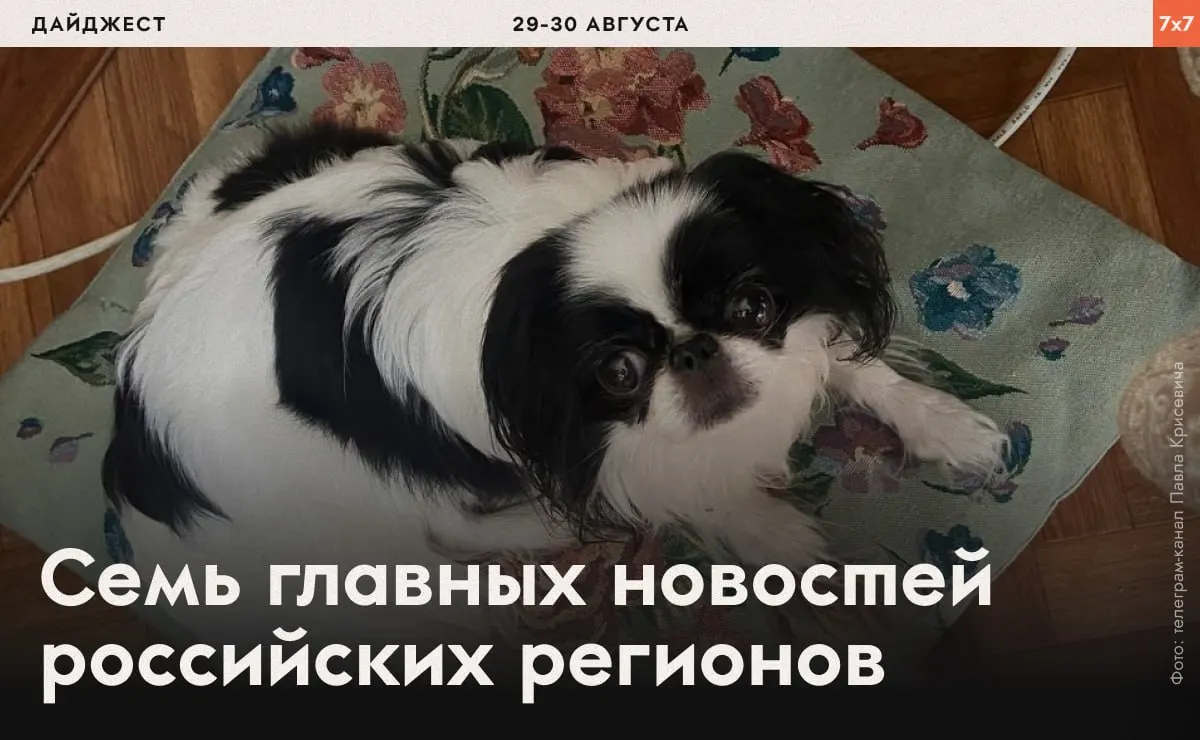 В выпуске рассмотрены случаи принуждения к физической активности политзаключённых, давление на юристов и активистов, а также региональные ограничения и запреты.