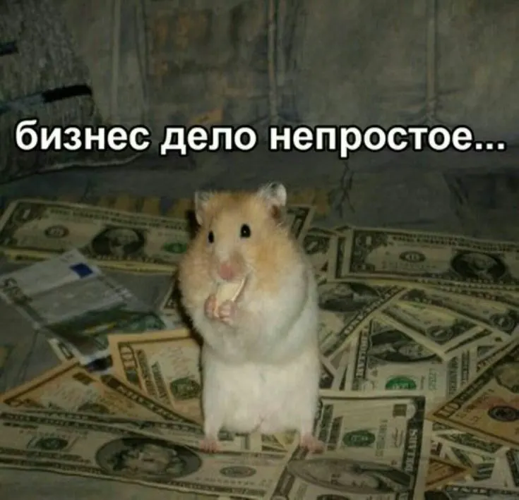 Руководителя предприятия по производству светового оборудования подозревают в завышении расходов и использовании спорных вычетов по НДС; недоимки оцениваются в 98 млн рублей, счета и имущество арестованы на примерно 100 млн рублей.