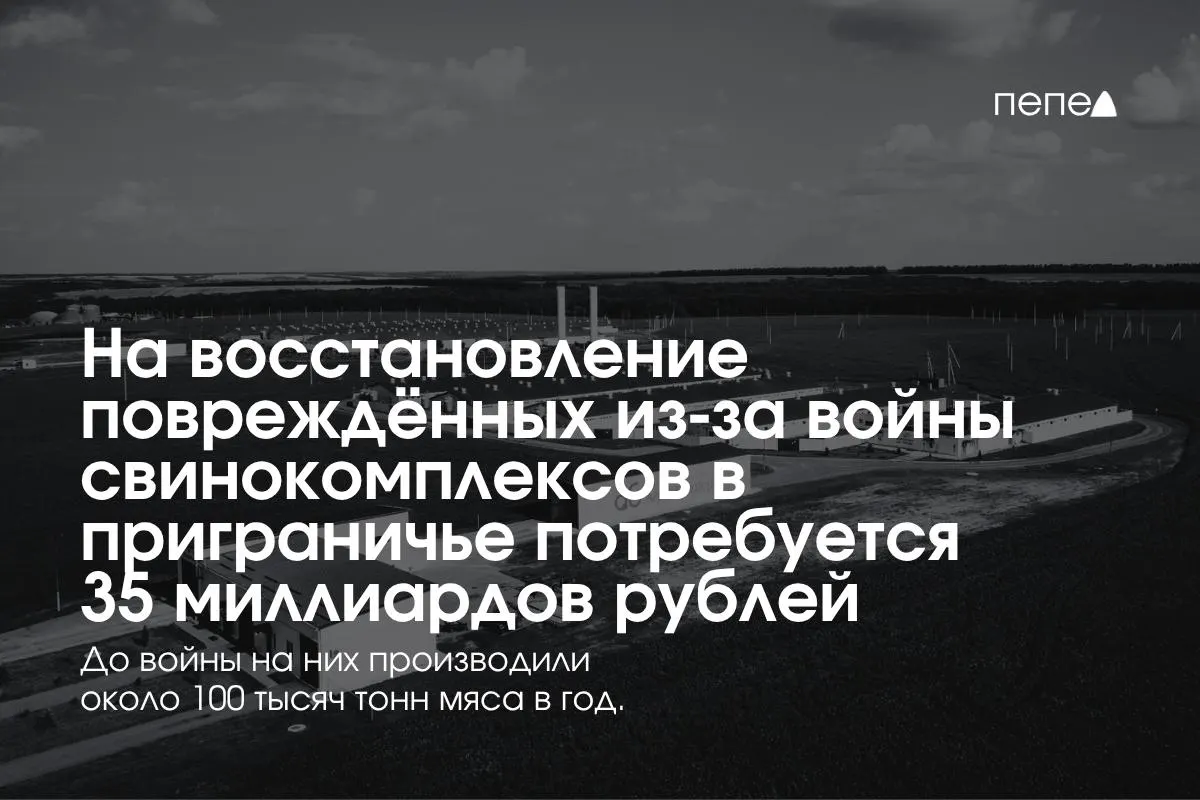 Расходы на безопасность и возобновление работы предприятий в Белгородской, Курской и Брянской областях оцениваются в 35 млрд рублей; регионы приграничья остаются критически важными для мясного сектора страны.
