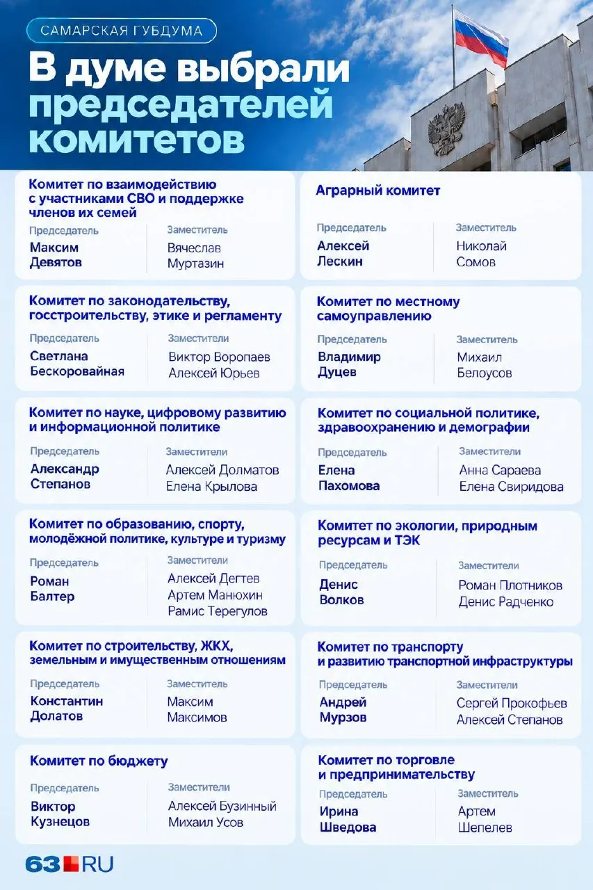 Заседания комитетов Самарской губернской думы завершились: выбраны руководители, решение будет утверждено на пленарном заседании.