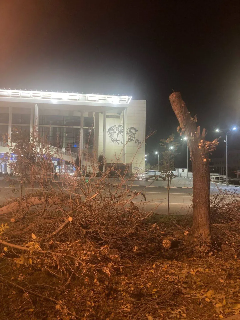 В городе фиксируются вырубки зеленых насаждений в нескольких районах, что вызывает тревогу жителей.