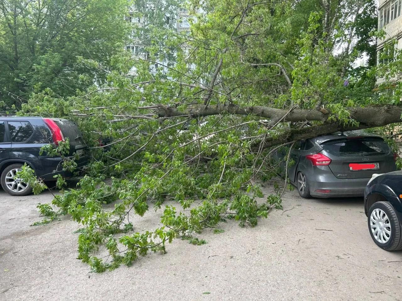 На припаркованный автомобиль на улице Силина в Самаре обрушилось крупное дерево. На пешеходной части в этот момент никого не было, пострадавших нет.