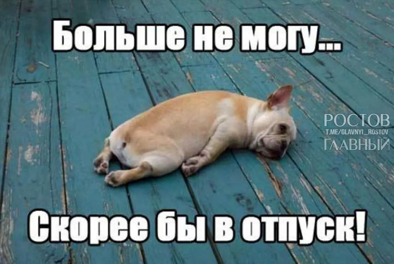 В Госдуме предложили увеличить минимальную продолжительность ежегодного отпуска до 35 дней, чтобы компенсировать входящие в него выходные и снизить риск выгорания.