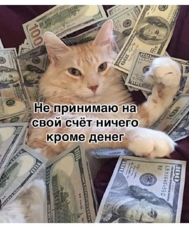 Должностное лицо Департамента управления имуществом уволено за утрату доверия — прокуратура выясняет, откуда взялись деньги на покупку квартиры.