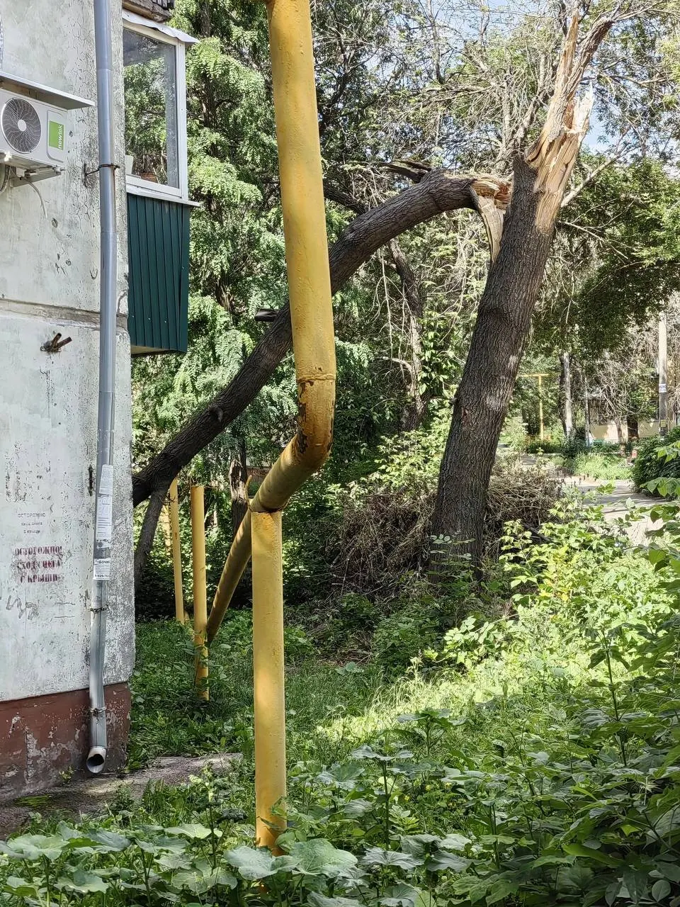 На улице Партизанской в двух местах упавшие или наклонённые деревья задели газопроводы у домов №164 и №168. Утечек газа не зафиксировано, но жильцы жалуются на задержку реагирования аварийных служб.