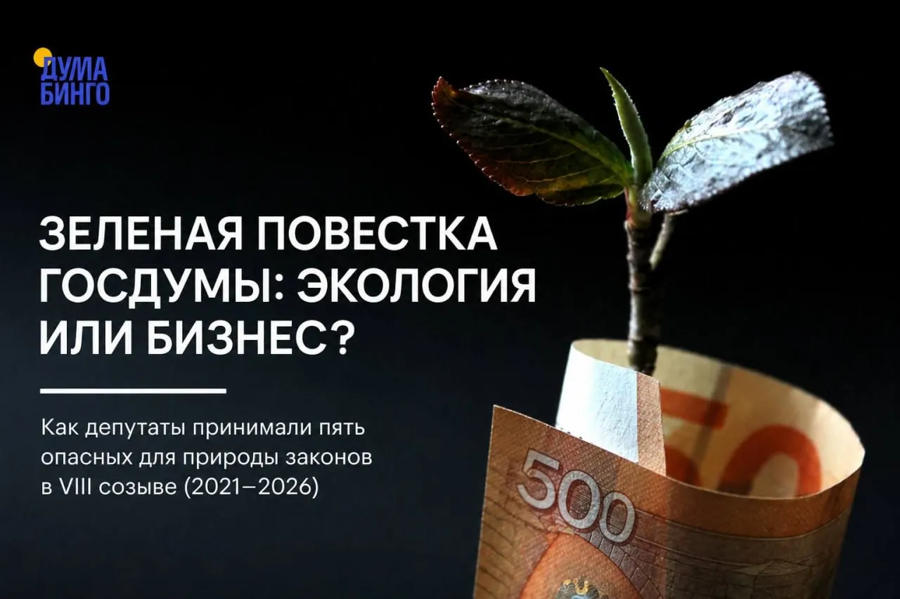 Краткий обзор спорных законодательных инициатив последних лет, которые, по оценкам экспертов и экологов, ослабляют природоохранное регулирование — от ограничения общественной экспертизы до изменений в правилах добычи редких видов.