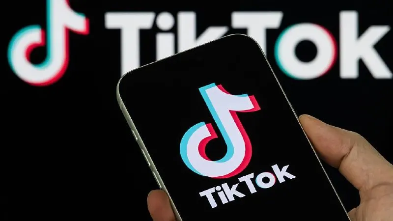 Платформу наказали за то, что она не убрала два ролика, признанные «пропагандой нетрадиционных сексуальных отношений». Верховный Суд ранее признал «Международное движение ЛГБТ» экстремистской организацией и запретил его деятельность в России.