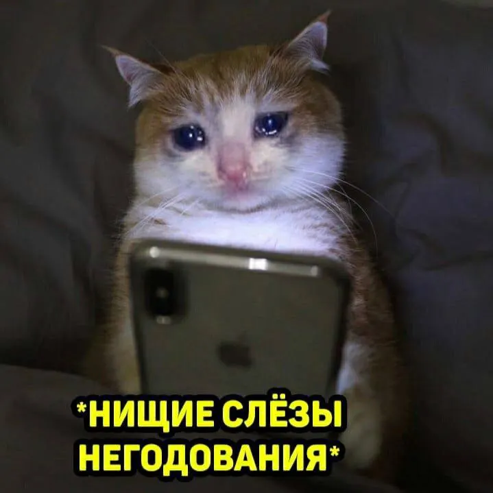 34‑летний житель Самары перевёл почти 20 тысяч рублей за «бронирование места» перед встречей в кинотеатре, но женщина не пришла. По факту мошенничества возбуждено уголовное дело.