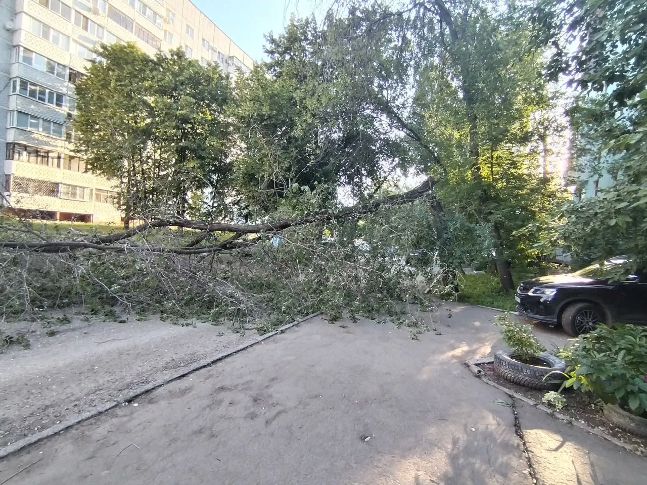 На Стара Загора, 84 рухнувшее дерево повредило уличное освещение: на участке улицы перестали работать фонари.