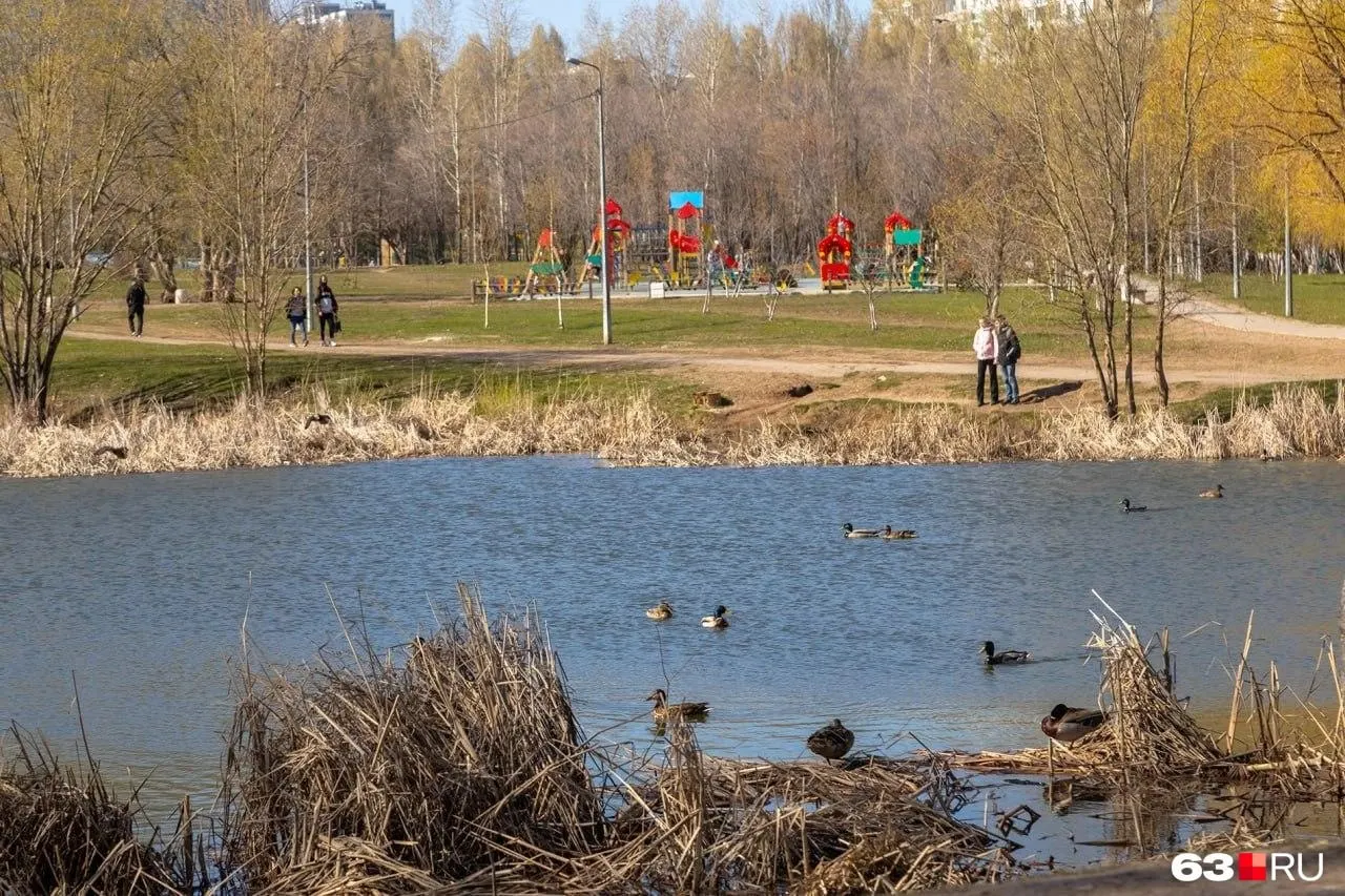 На уборку городских водоёмов выделили 22 млн рублей: почистят пруд в парке, Шишигу, озеро на Солнечной, водоёмы в Дубках и берега Волги у Самары и Татьянки.