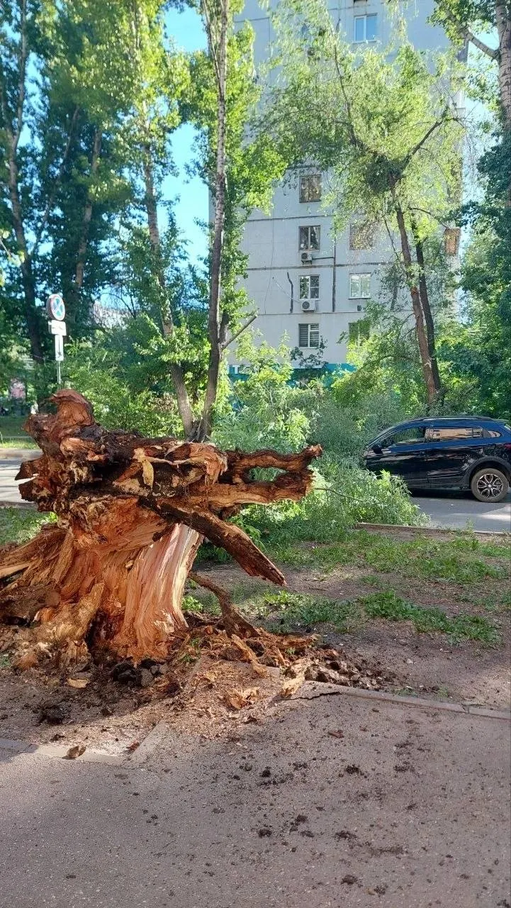 На пересечении с улицей Мичурина дерево рухнуло на дорогу и задело машину. На место приехала скорая, по словам очевидцев пострадавших нет.