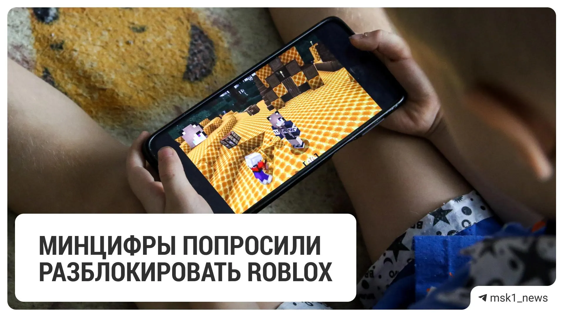 Ведомства обратились к правоохранительным органам после получения от платформы гарантий соблюдения российского законодательства и комплекса мер по защите детей.