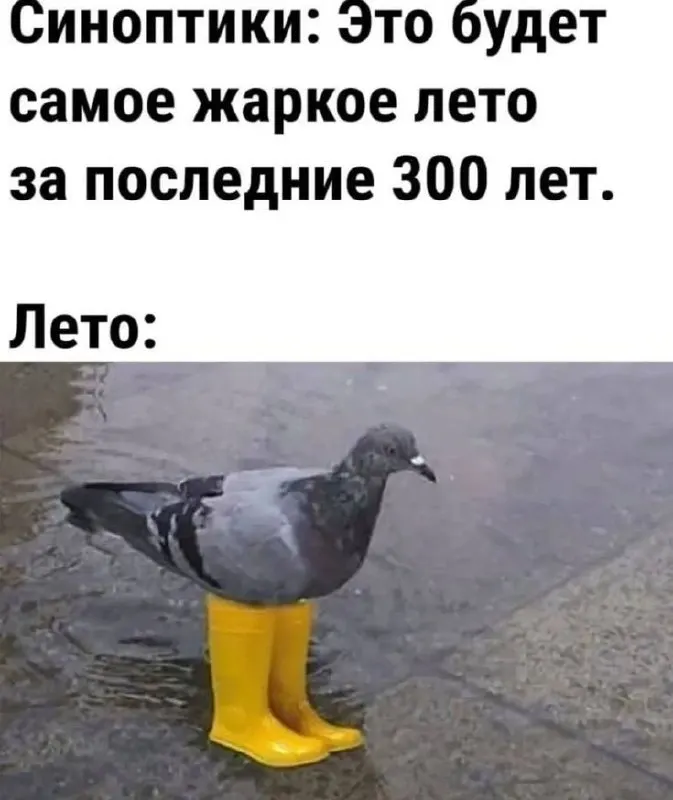 Днём местами ожидаются сильные ливни, гроза и возможен град. Утром и днём прогнозируется усиление северо-западного и северного ветра с порывами до 15–20 м/с.