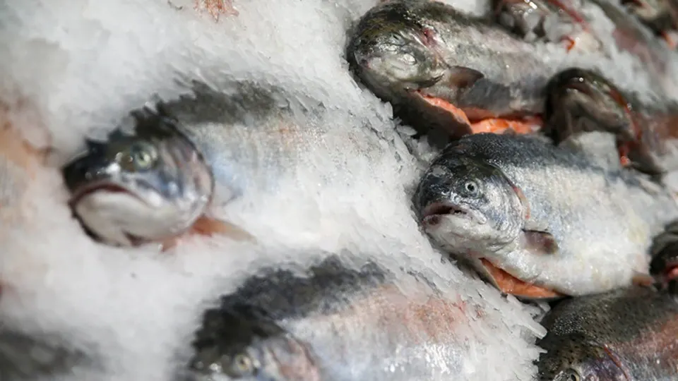 Россельхознадзор запретил ввоз рыбной продукции от двух армянских производителей, ранее действовали частичные разрешения; ограничения вводятся на фоне финансовой помощи Еревану со стороны Евросоюза.