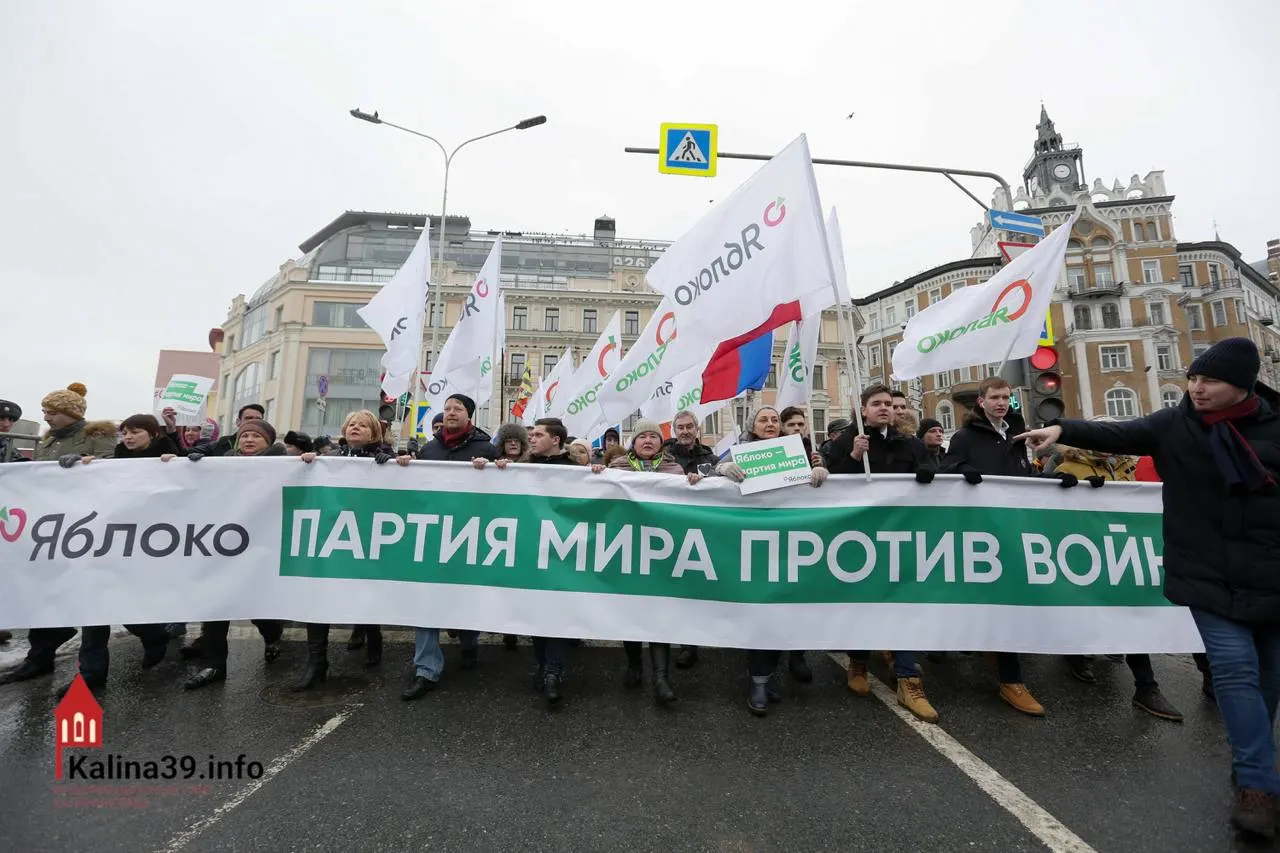 Регистрация федерального списка партии, открыто выступающей против войны, эксперты связывают с намерением канализировать протесты в безопасное для власти русло; при этом многие видные кандидаты партийного списка не были допущены к участию.