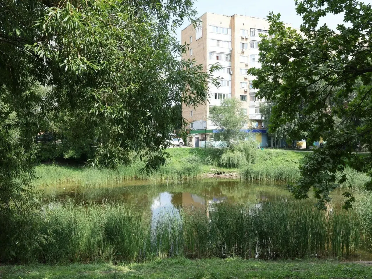 Водоём пересыхает из‑за отсутствия притока и фильтрации. На восстановление 13 городских прудов потребуется свыше 2 млрд рублей.