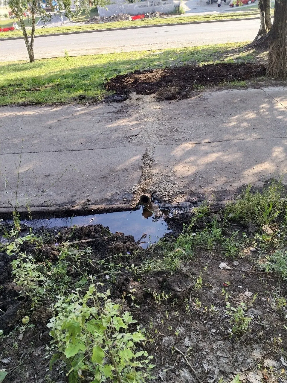 У дома №52 длительное время скапливалась вода из-за протечки; коммунальщики проложили трубу под тротуаром, чтобы отводить её в канализацию вместо поиска и ремонта повреждённого участка.