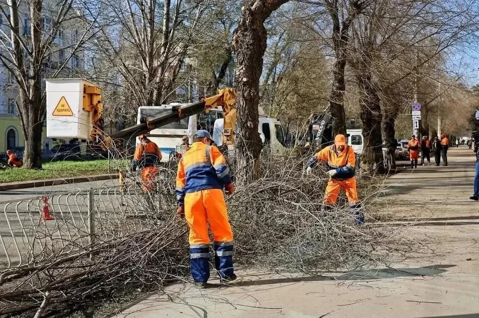 В Самаре острый дефицит зелёных зон: на одного жителя приходится 4,5 м² зелёных насаждений, почти в четыре раза меньше нормативного показателя. Деревья исчезают из‑за застройки, вредителей и ограничений на посадки; за последние десятилетия в городе не появилось ни одного нового парка.