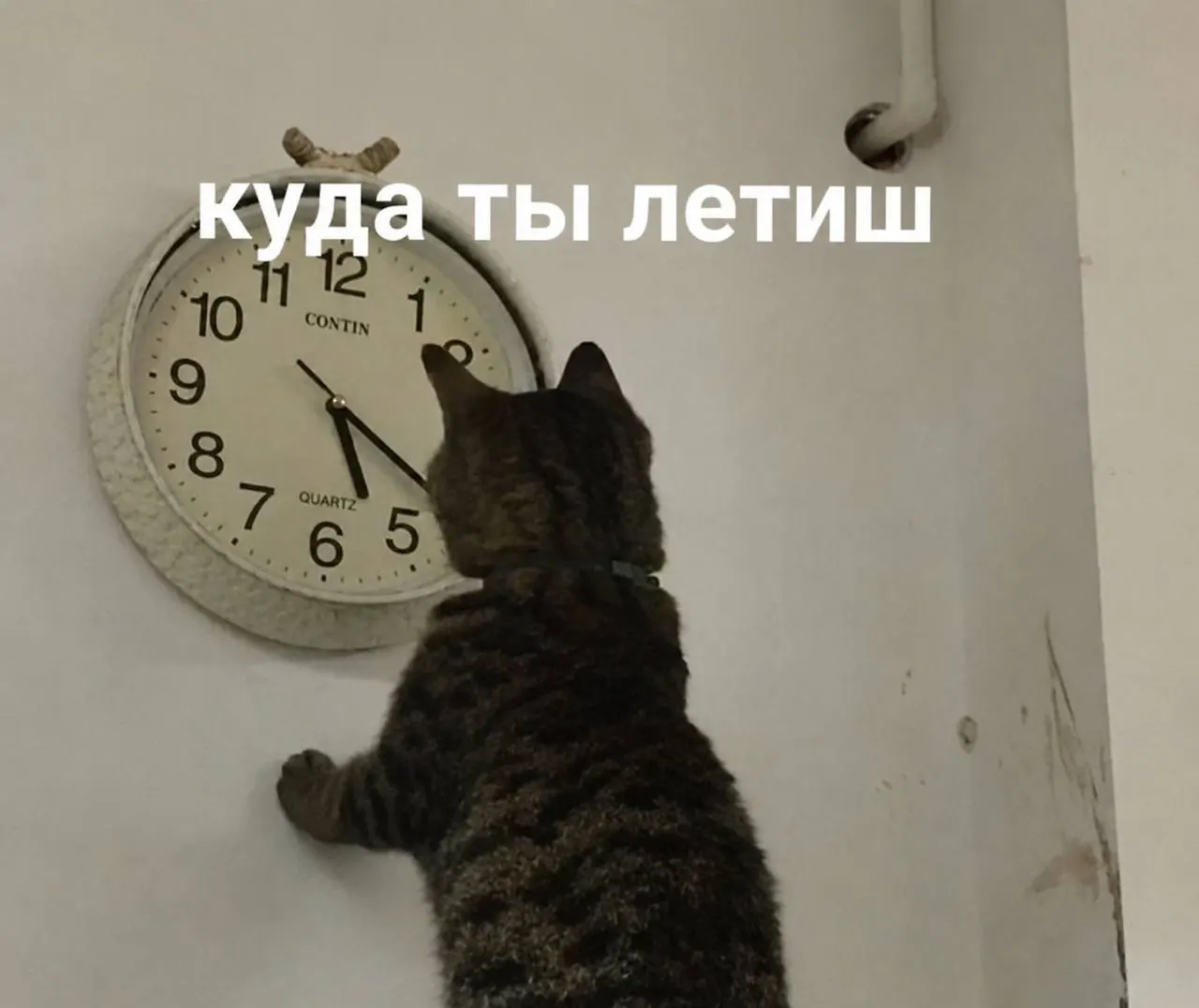 Синоптики обещают в Самаре потепление до 24 градусов. Сегодня также отмечают «День второй половины года».