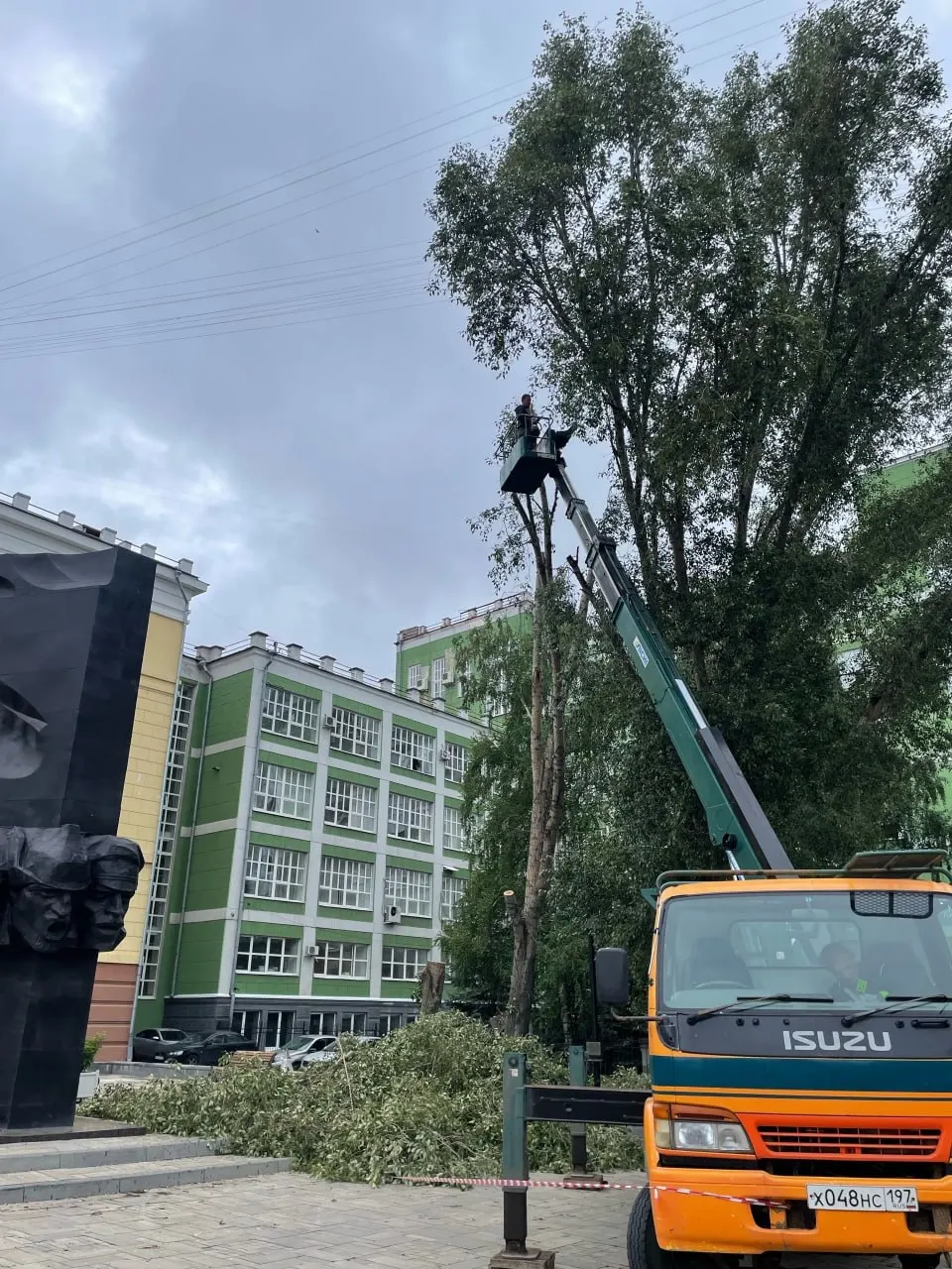 В&nbsp;Самаре на&nbsp;Красноармейской вырубают здоровые деревья&nbsp;— жители возмущены