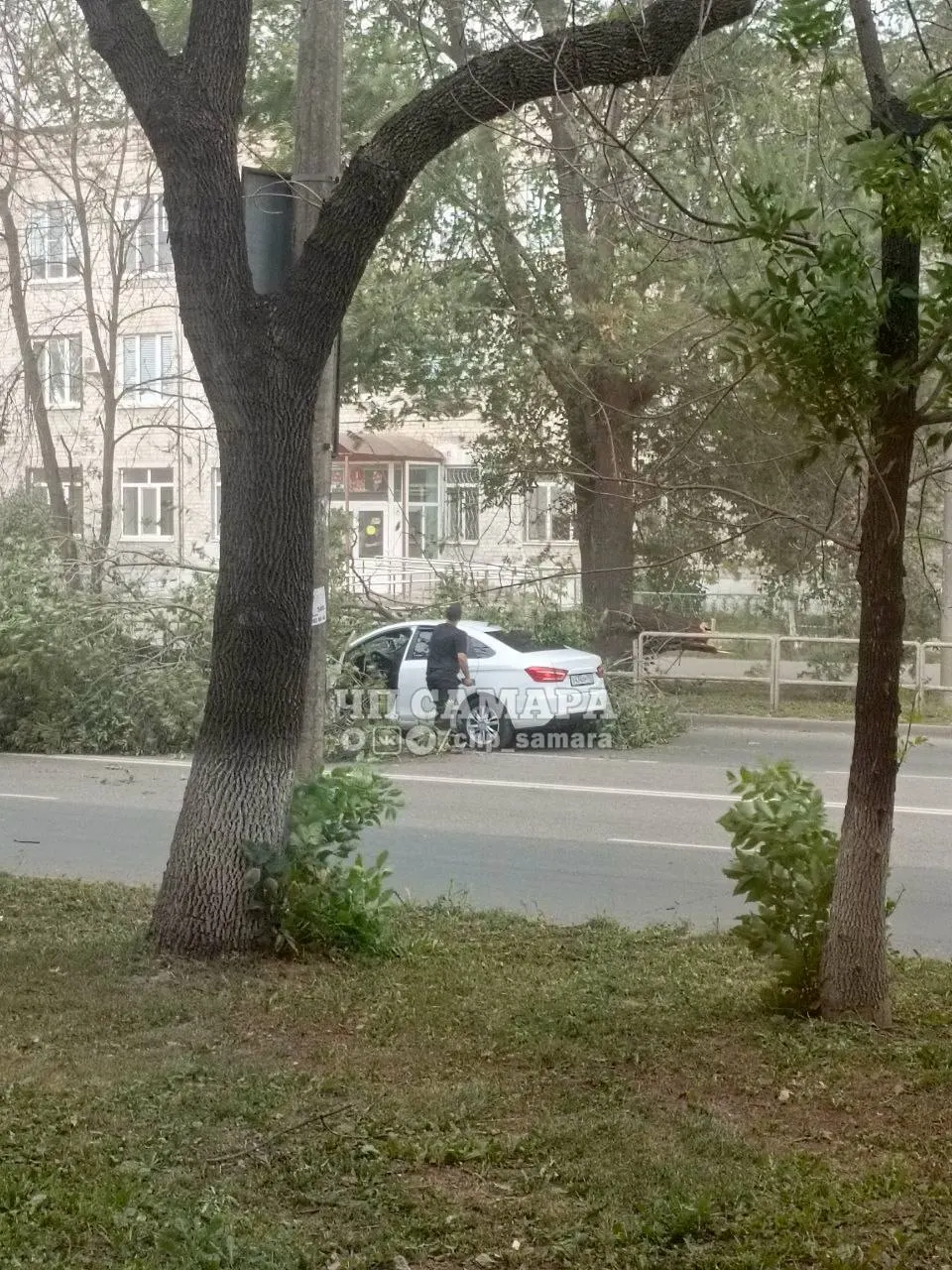 На площади Кирова дерево упало на дорогу — движение затруднено, на месте работают спасатели и дорожные службы.