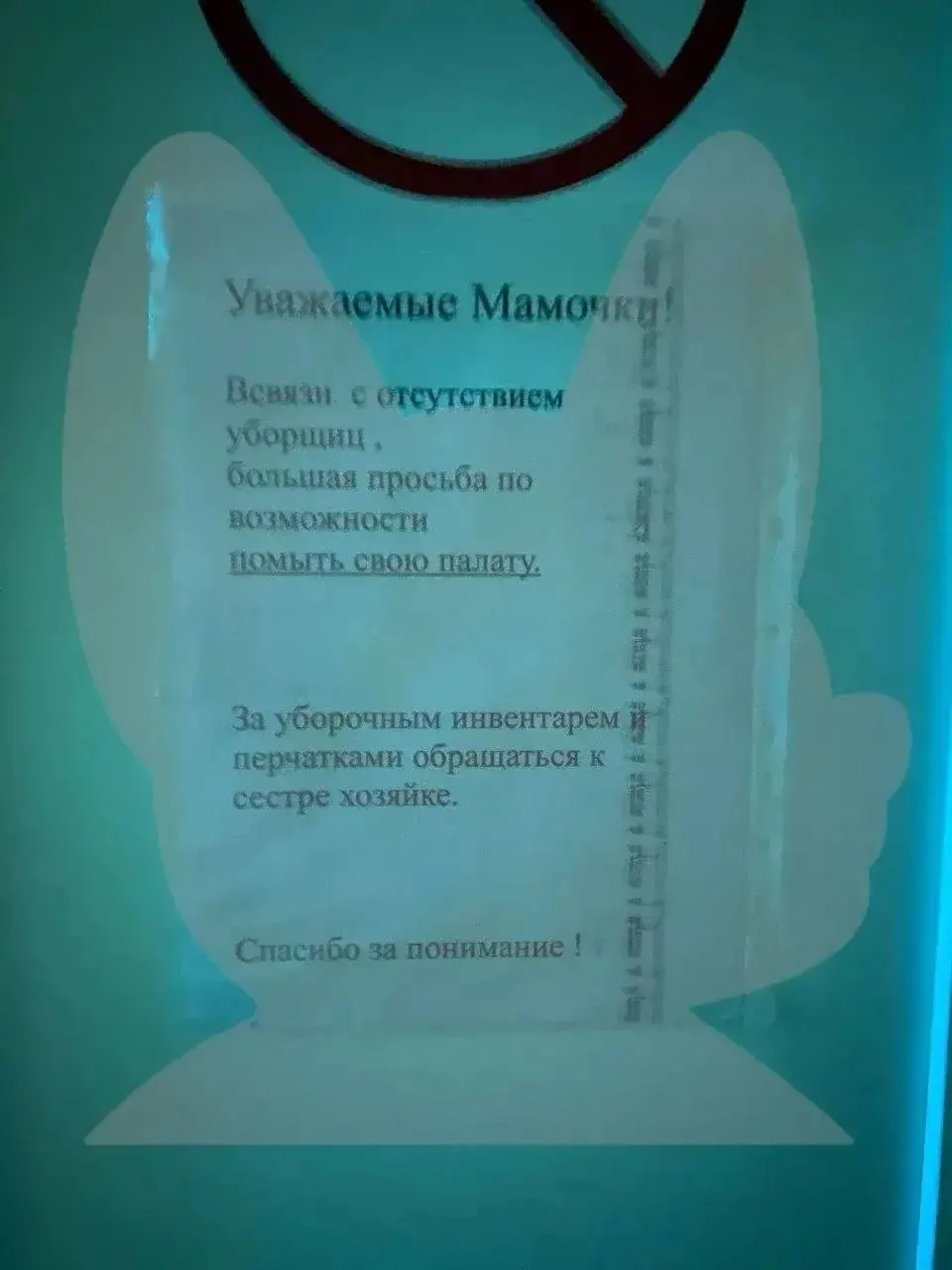 Родители пациентов сообщают о тараканах и комарах в палатах, отсутствии должной уборки и проблемах с питанием.