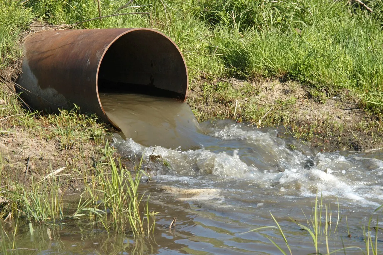 Законопроект об освобождении водоканалов от платы за экологический ущерб при наличии собственных программ охраны природы обсуждают в Госдуме; Минприроды поддерживает идею с доработками, Счетная палата критически оценивает проект.