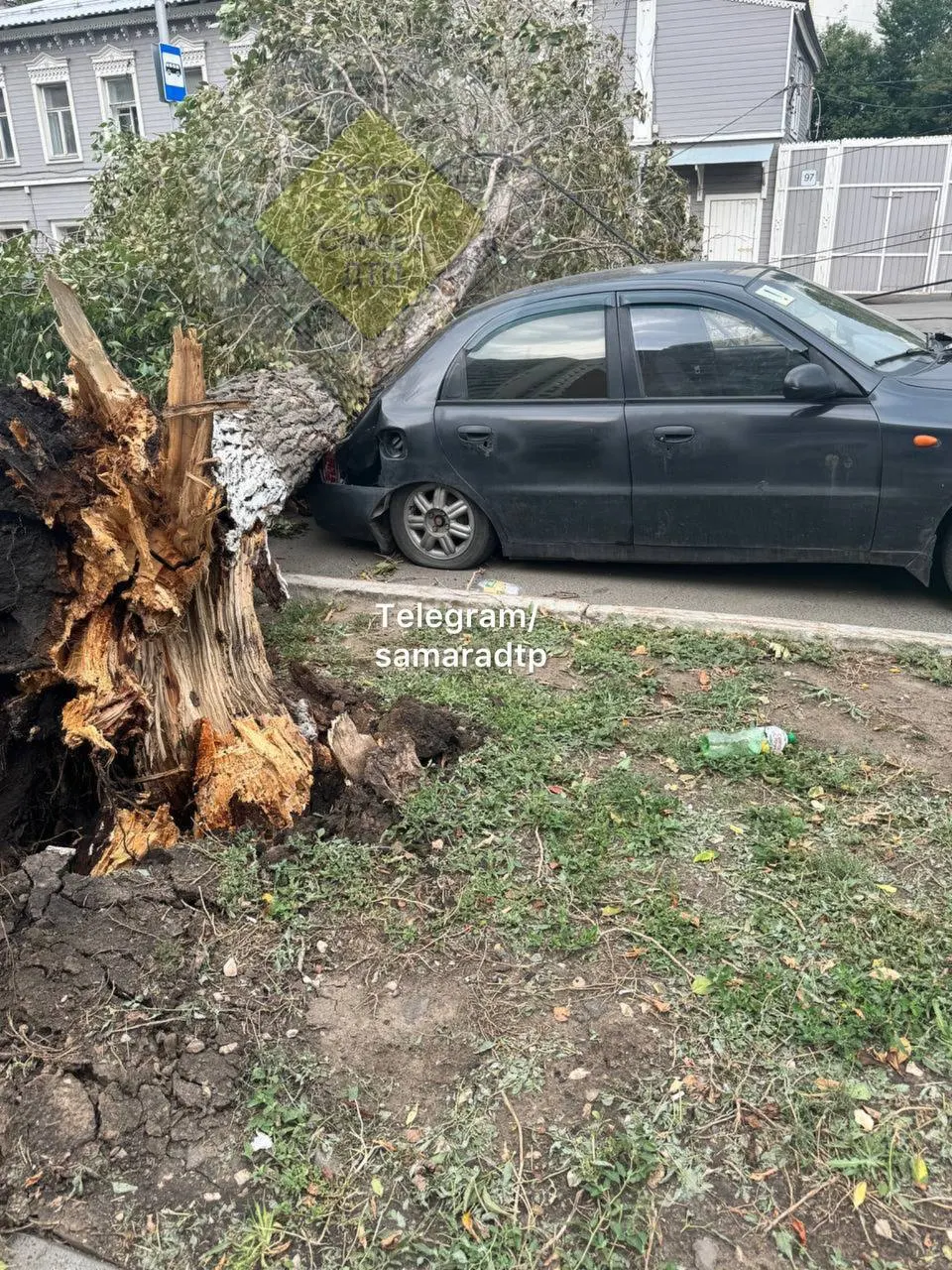 На Ленинградской улице дерево упало и придавило автомобиль.