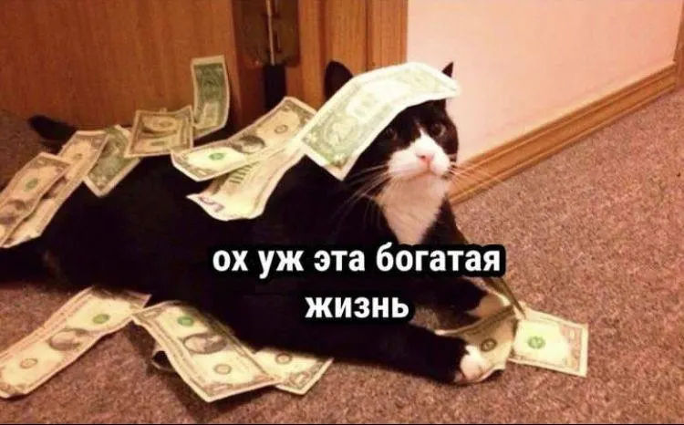 В мае средняя зарплата в регионе достигла 84 421 рублей, что на 8,3% выше уровня прошлого года.