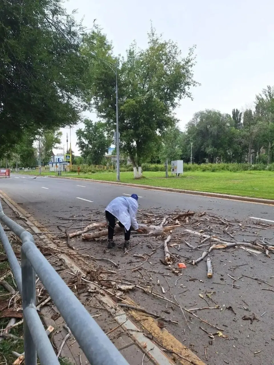 Двое волонтёров в Самаре удалили упавшие ветви на Московском шоссе, не дожидаясь коммунальных служб.