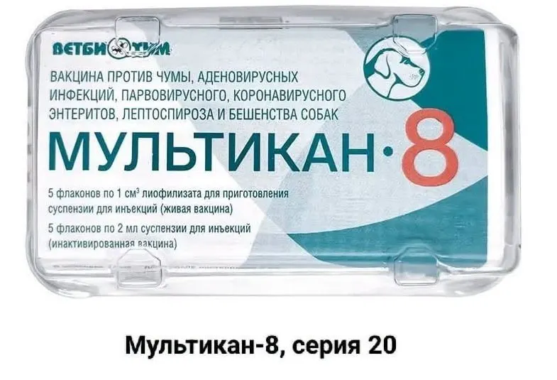 После вакцинации вакциной «Мультикан-8» в нескольких регионах погибли собаки. Владельцы призывают к прозрачному расследованию и независимой экспертизе.