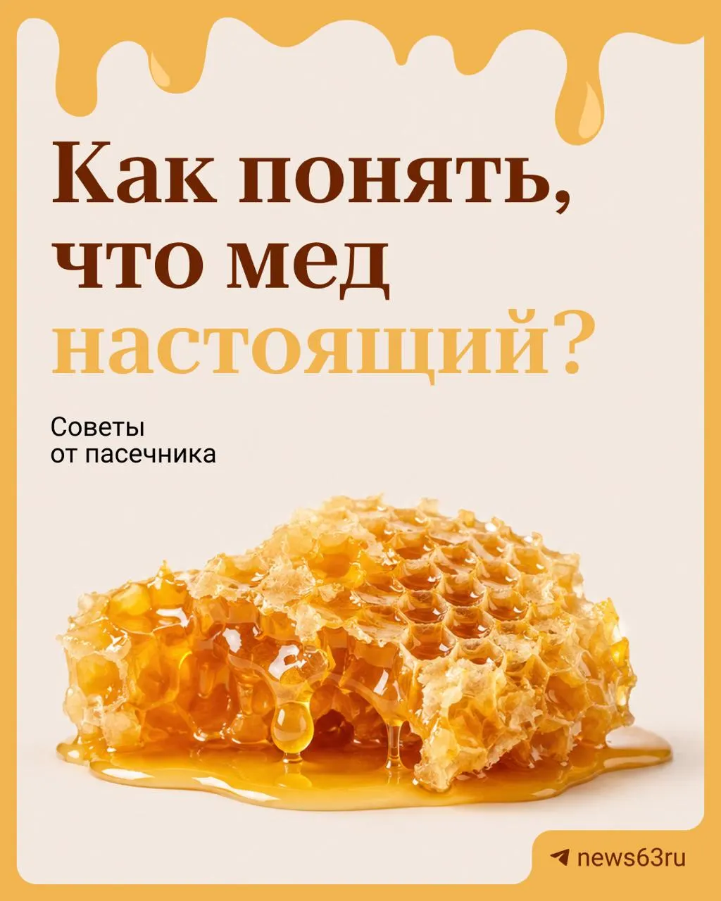 Пчеловод из Тольятти поделился признаками подлинного меда и тем, на что стоит обращать внимание покупателям.