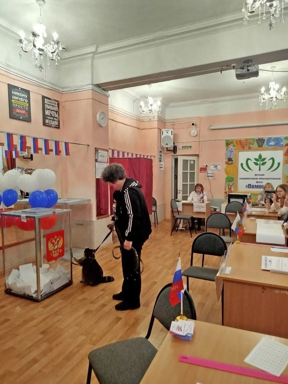 На избирательном участке в Самаре появился енот по кличке Берта, исследовавший помещение и урну для голосования.